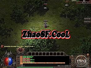 传奇坐标怎么看