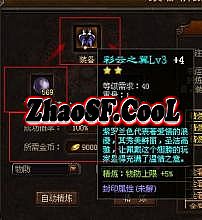 ʮ