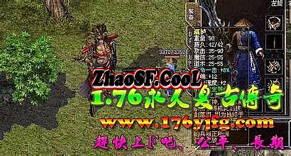 仿盛大传奇终结版辅助