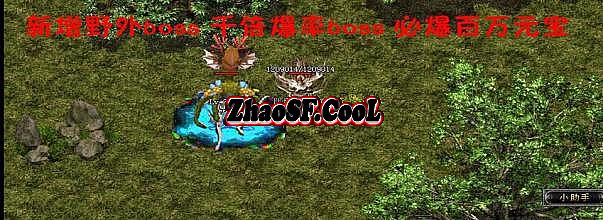 灰姑娘的魔法书