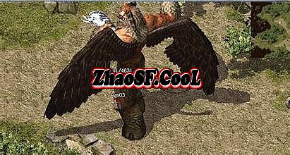 1.76道士运9有用吗