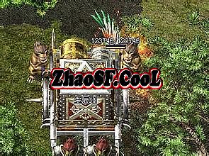 辽宁网通传奇私服