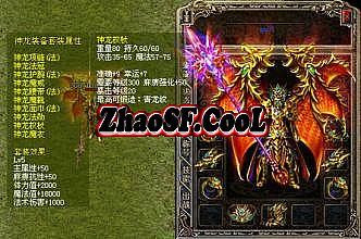 ��Ѫ�������²�������